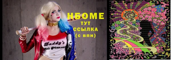 сатива Бронницы