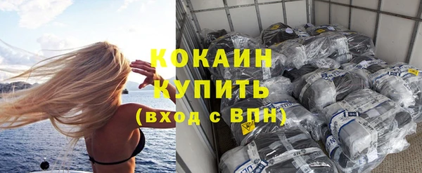 сатива Бронницы