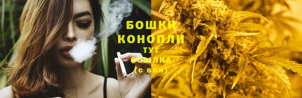 сатива Бронницы