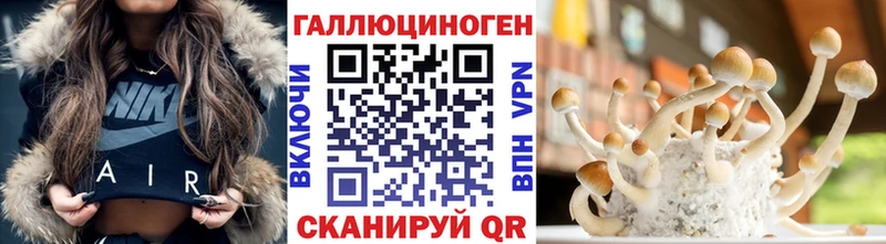 Псилоцибиновые грибы мицелий  Купить закладки  Нерчинск 